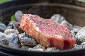 ̿�������ţ��