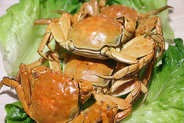 �����բзͼƬ