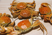 ����ı���