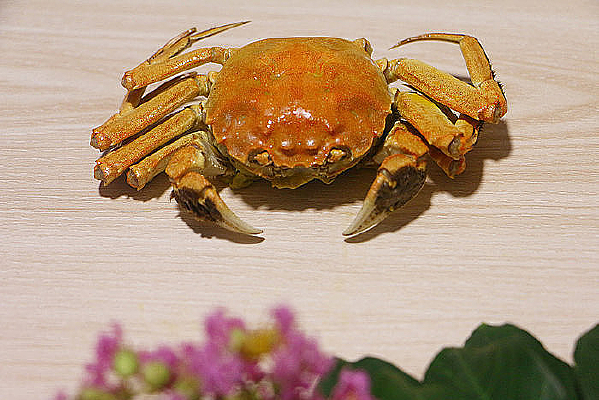 ������з