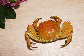 зд