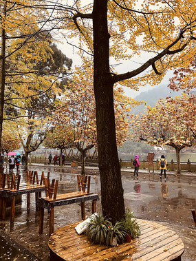 �����߰�����������