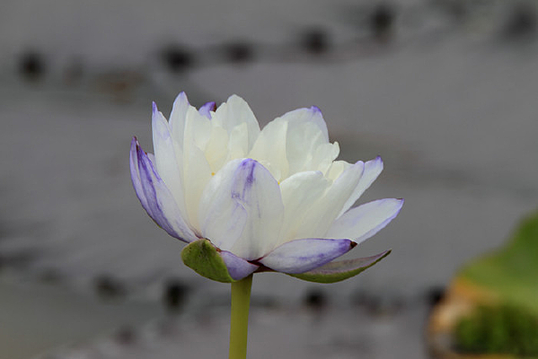 ����������˯��