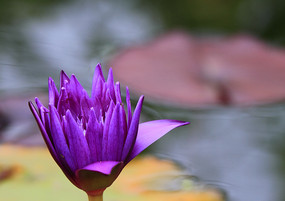 �������ŵ�˯��