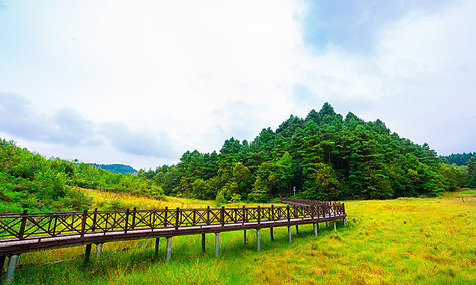 �Ͻڹ�£ƺ�仨Ϫ�羰