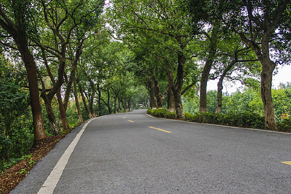 �����ֵ�