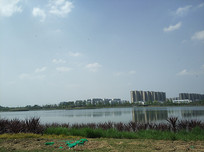 ԶӰ