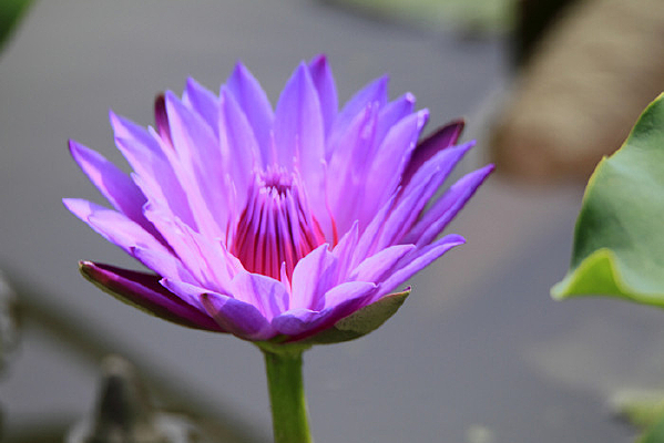 ���һ���˯��