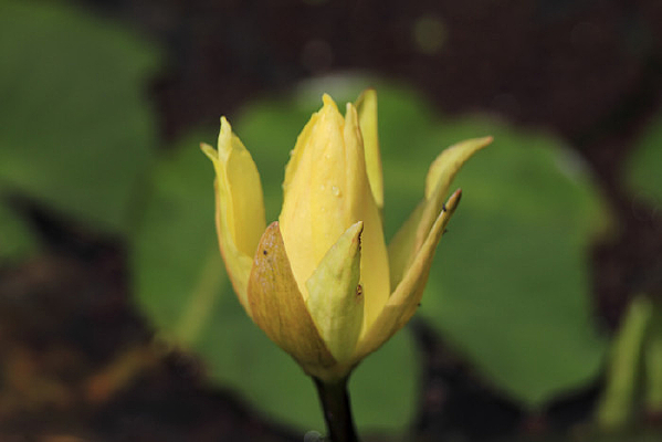 ���ý�Ƶ�˯��