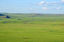 ��ԭ�������