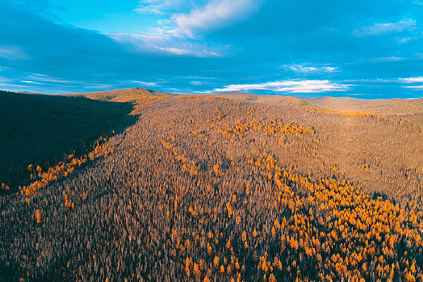 ���˰����ɫ��ɽ��