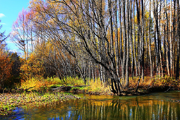 ����������ɫ 