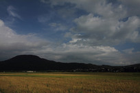 ǧ����õ��������