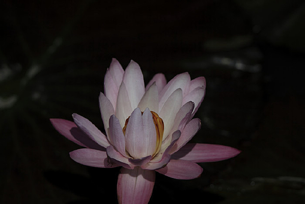 ���ĵ�˯��