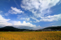 ������ǧ���������