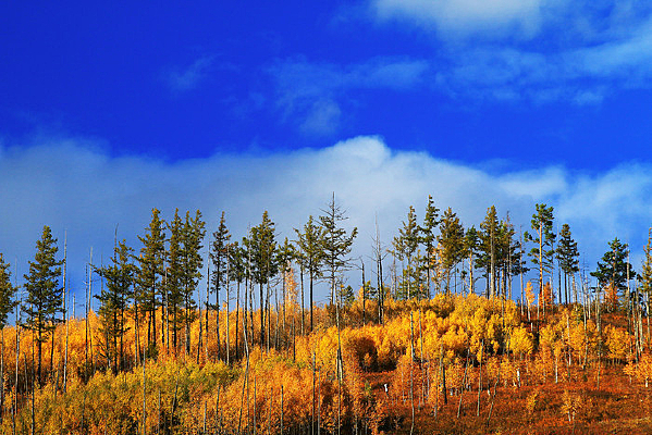 ɽ��������ɫ