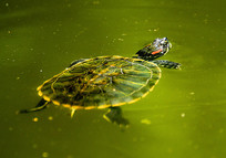 ˮ�����ζ����ڹ�