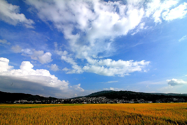 ������ն����