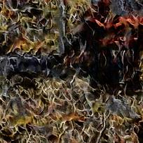 ������������ͻ�����