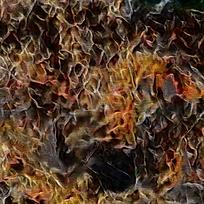 �����ſ�����ͻ�����