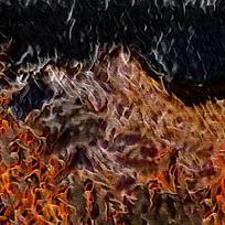 ����ɽ�����װ���ͻ�