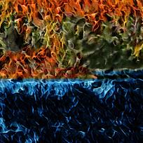 ����Ψ�������ͻ�����