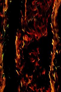 ������Լ���溣������