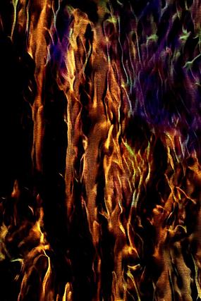 ������ɫ������ƺ���