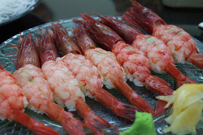 ������Ϻ��