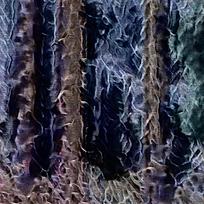 ���Ż������