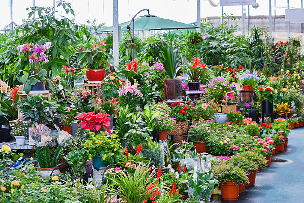 �����г�