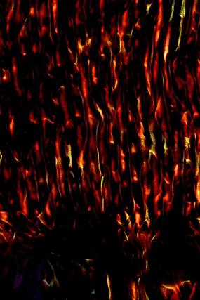 ��Ӱ����