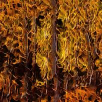 ��������װ�λ����ͻ�