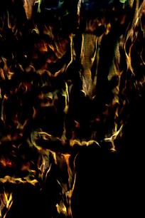 �ſ��쵻��溣��