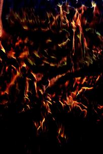 �ſ������溣��