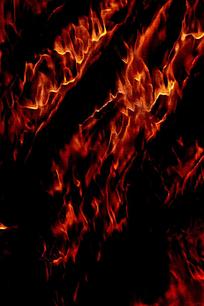 �ſᴴ����溣��