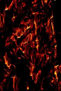 �ſᶯ�л������