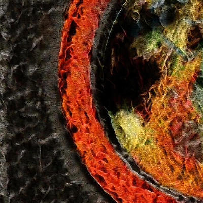 �ſ�������װ�α���ǽ