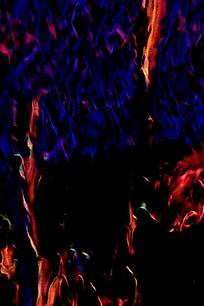 �ſ�ʱ�в������汳��ǽ