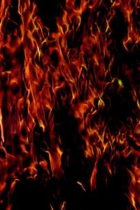 �ſ����ܻ����ֻ���ֽ