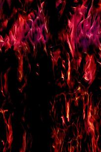 �ſ��������溣��