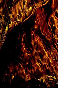 ��������ֻ�����ͼƬ