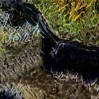 ʱ�л������