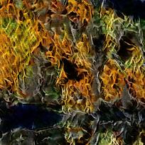 ʱ�������������