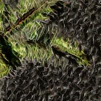 Ψ���������