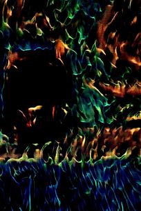 Ѥ����쵻�����Ʒ���