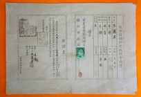 �����Ů��������ִ��������