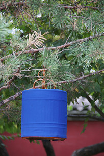 ��֦�ϵ�����