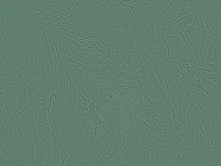 ������ɫ