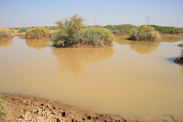 ��ڶ�����ˮˮԴ��